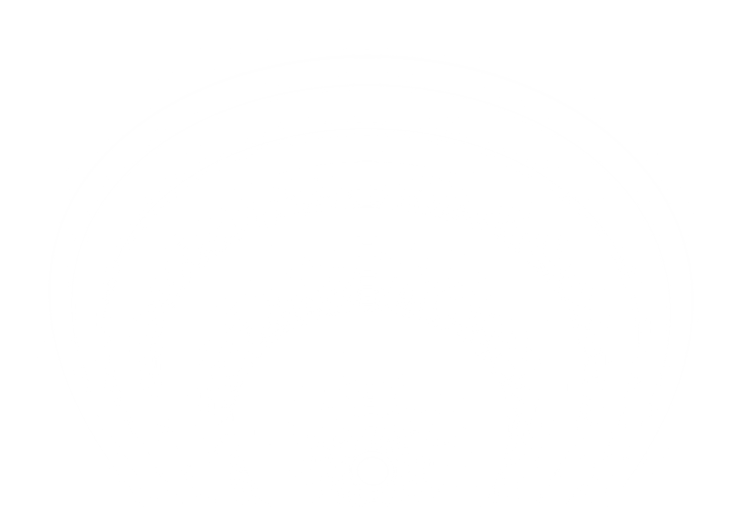 transparent white gradient